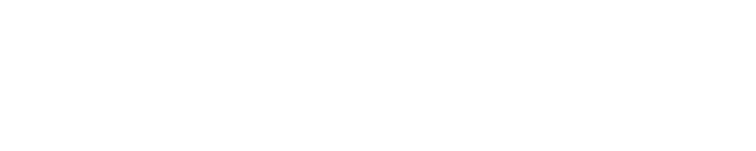 CMBS LOGO White